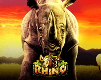 Rhino Rhino